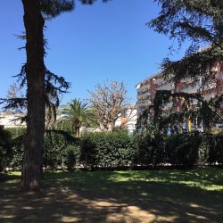 IMG_1353